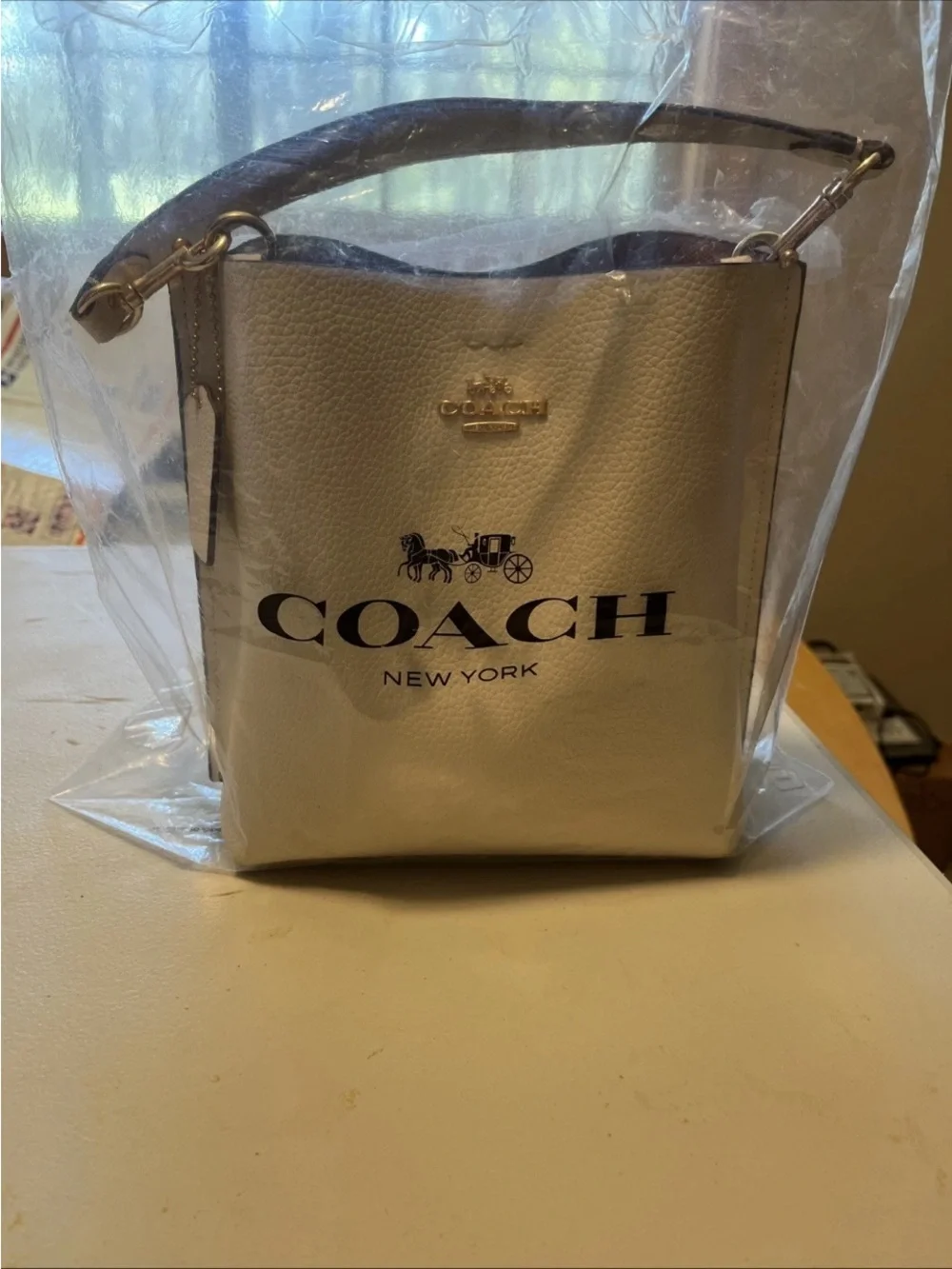 Coach Mollie 22 Bucket Bag Pebbled Leather chalk CA177 - Picture 10 of 13